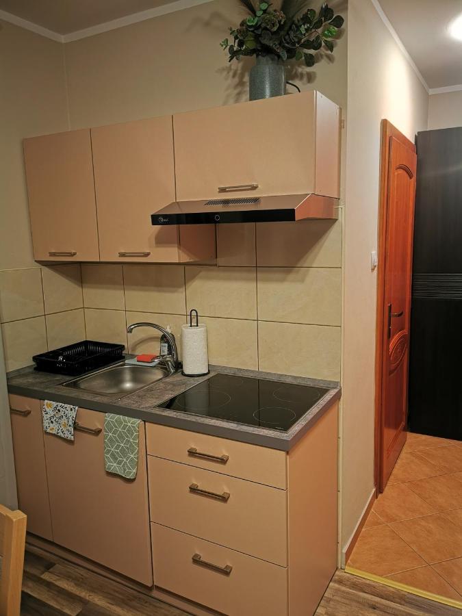 Apartament Przy Stoku Wilcza Karpacz Exterior foto